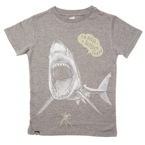 Boys Graphic tee Shark T-shirt