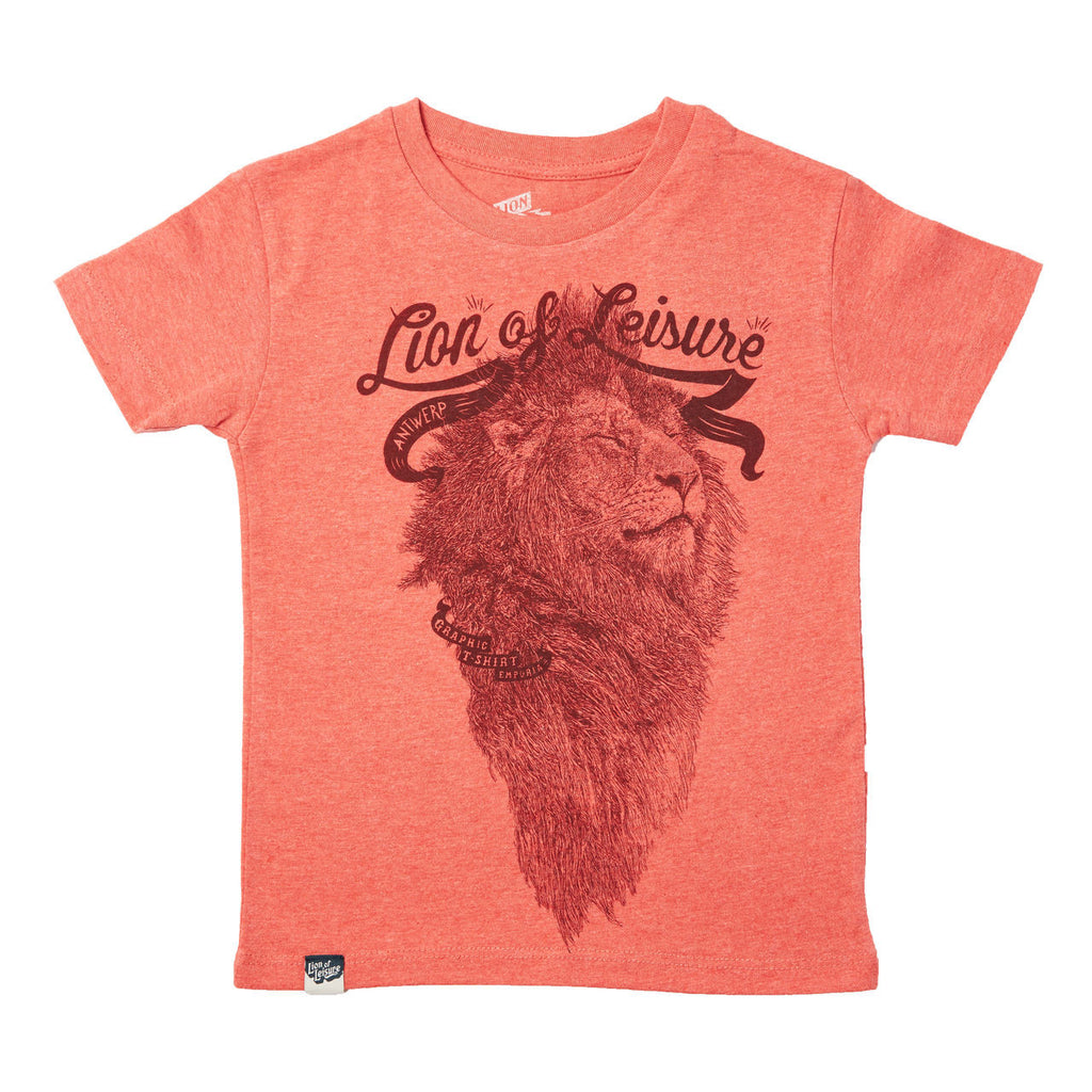 Boys Graphic tee Lion T-shirt