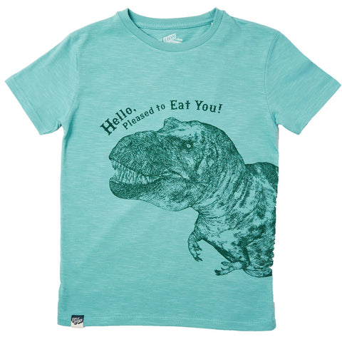 Boys Graphic tee Dinosaur T-shirt